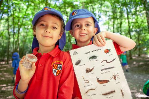 Woodland Habitats | Suntrap